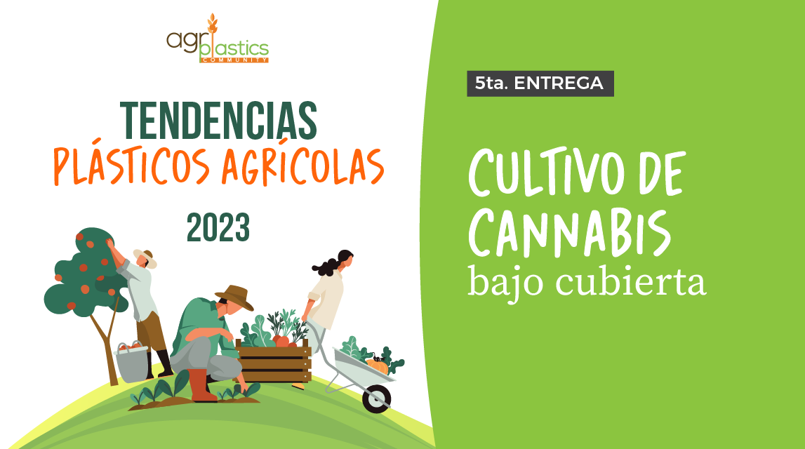 [eBook Tendencias en Plásticos Agrícolas] Cultivo de cannabis bajo cubierta