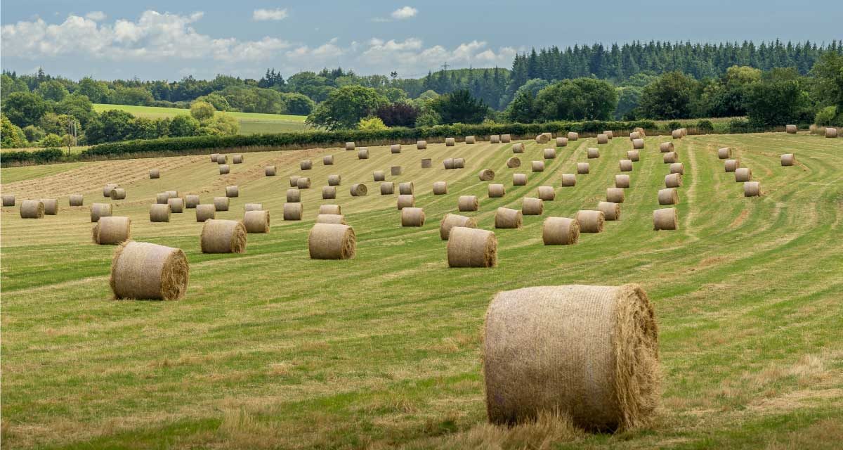 Eventos agrícolas de interés en Europa en 2024