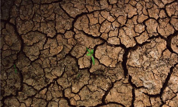 Impacto de la sequía en la agricultura: consecuencias y soluciones