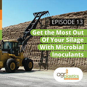 Podcast 13: Get the most out of your silage with Microbial Inoculants