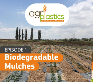 Podcast 1: Biodegradable mulches