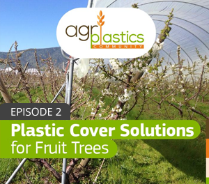 Podcast 2: Plastic Cover Solutions for Fruit Trees
