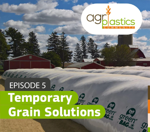 Podcast 5: Temporary Grain Solutions