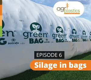 Podcast 6: Silage in bags