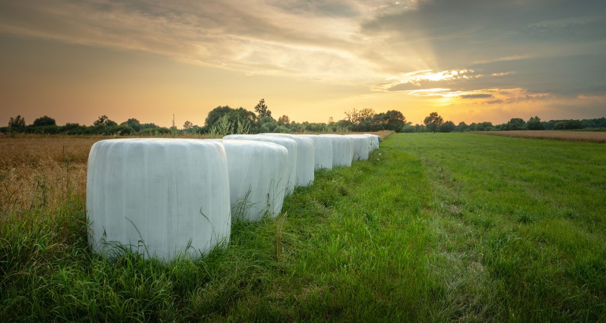 Bale wrapping: tips for successful silage bale wrapping