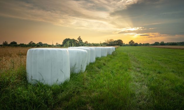 Bale wrapping: tips for successful silage bale wrapping