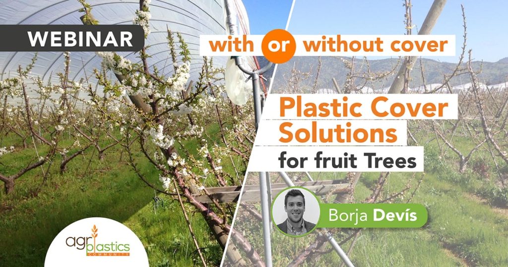 Banner Plastic Cover Solutions for Fruit Trees