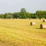 Agricultural events in Africa, Asia and Oceania in 2026