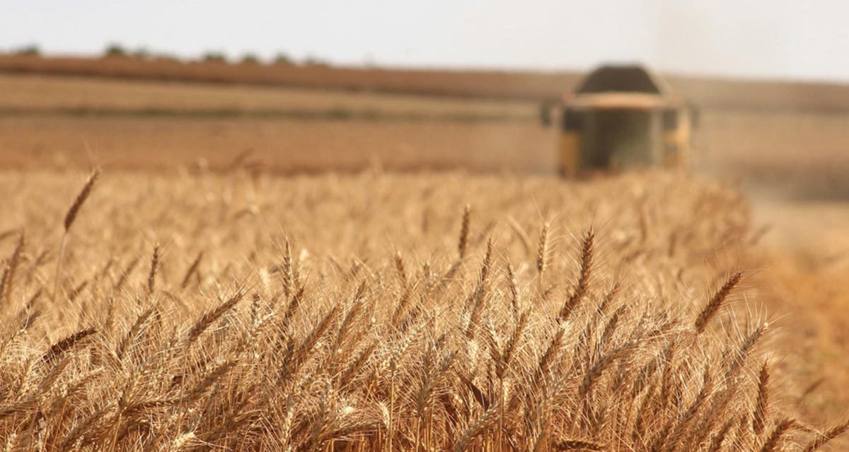 Agricultural events in Europe in 2026