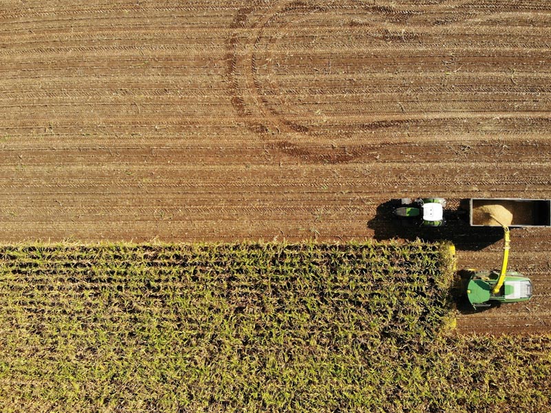Agricultural fairs and events in LATAM in 2026