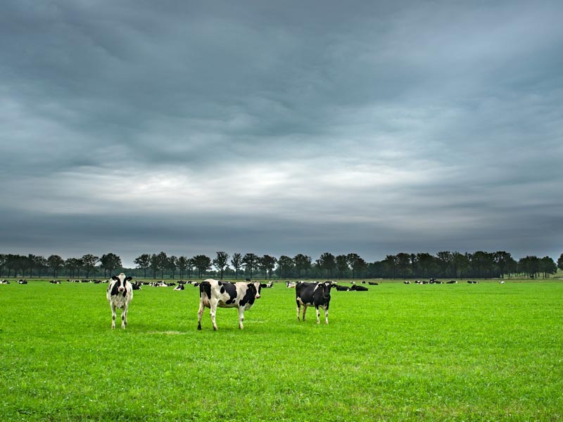 Agricultural fairs in Canada in 2026