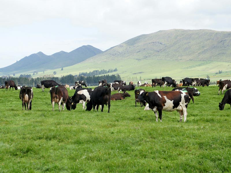 Agricultural shows and fairs in the United States in 2026