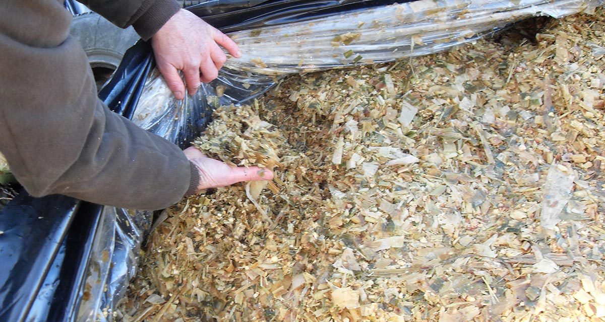 Questions fréquemment posées sur les films barrières à l&rsquo;oxygène