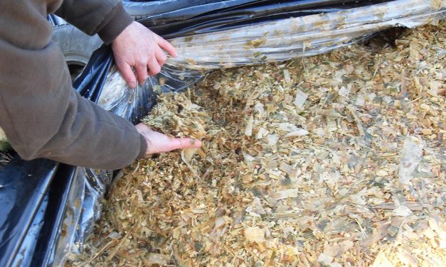 Questions fréquemment posées sur les films barrières à l&rsquo;oxygène