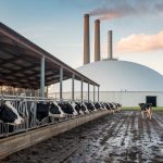 Biogas: A sustainable alternative for the agricultural sector