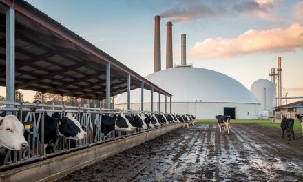 Biogas: A sustainable alternative for the agricultural sector