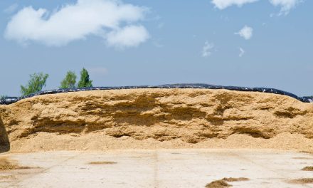 ¿Por qué es tan importante el plástico que cubre las paredes laterales del silo de ensilaje?