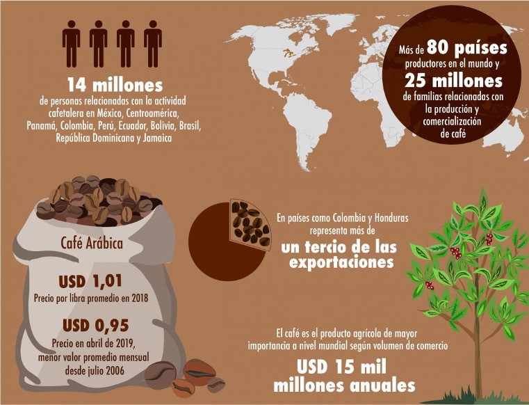 Cultivo del café en el mundo. Créditos: IICA, based on PROMECAFÉ y PROCAGICA 