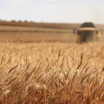 Eventos agrícolas más importantes en Europa en 2026