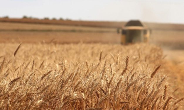 Eventos agrícolas más importantes en Europa en 2026