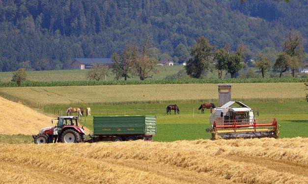 Eventos agrícolas en LATAM en 2026 más importantes