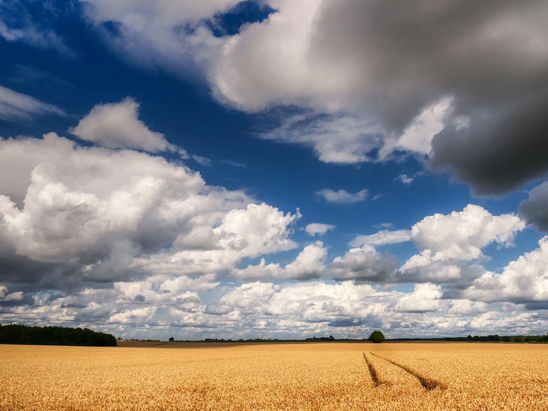 Ferias agrícolas en Estados Unidos en 2026
