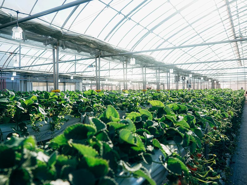 Ferias agrícolas más importantes en 2026 en Europa