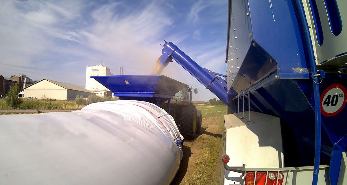 Maquinaria para el almacenamiento de granos: tendencias, retos y cómo elegir la adecuada