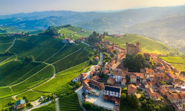 The role of agriculture in creating social, cultural, and economic networks in rural areas of the European Union