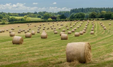 Major agricultural events in Canada in 2026
