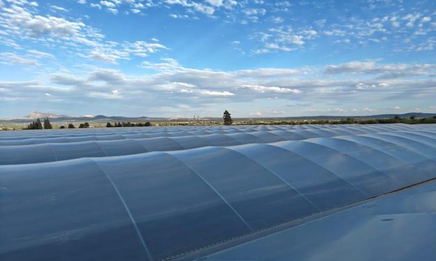 OASIS SecondSky™: a new generation of greenhouse coverings to cope with high temperatures