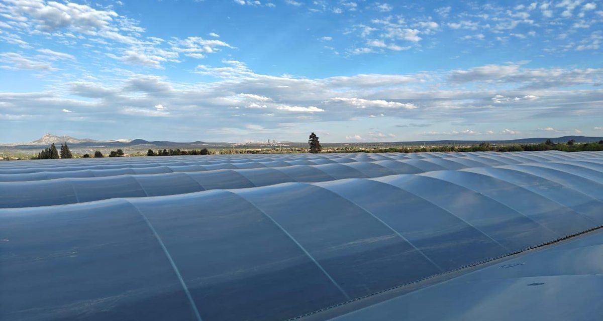 OASIS SecondSky™: una nueva generación de cubiertas de invernadero para enfrentar las altas temperaturas
