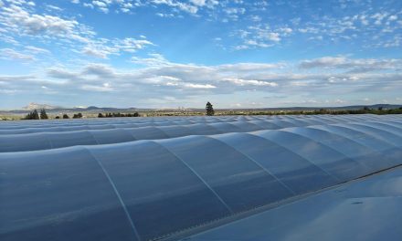 OASIS SecondSky™: una nueva generación de cubiertas de invernadero para enfrentar las altas temperaturas