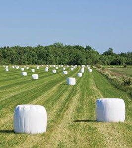 Plastics to prevent white mould in silage bales