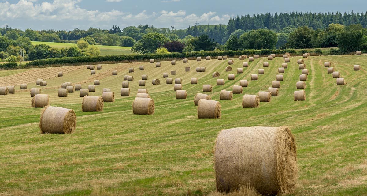 Principales eventos agrícolas en Canadá en 2026