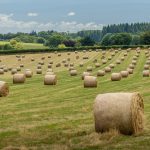 Principales eventos agrícolas en Canadá en 2026