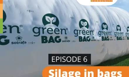 Podcast 6: Silage in bags