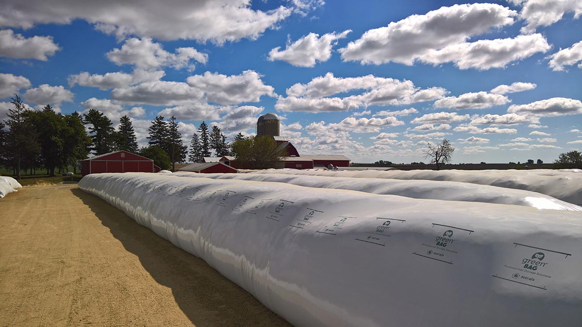 benefit driver Baron Silo bags over steel silos for grain storage - Agriplastics Community