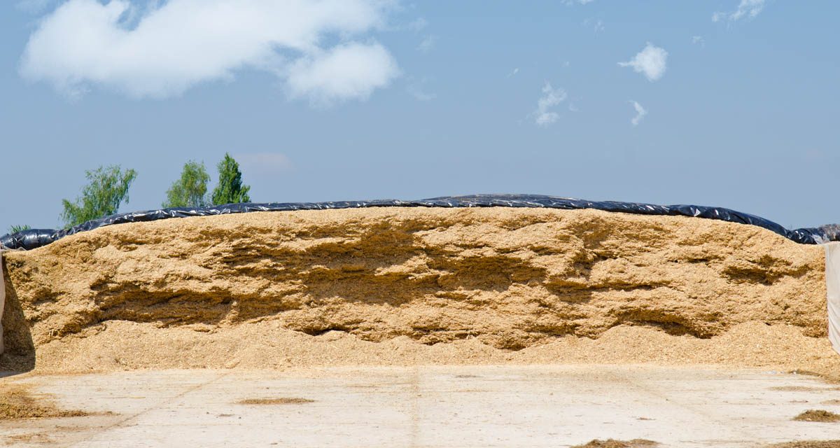 Why is the plastic covering of side walls of the silage bunker so important?