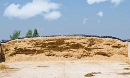 Why is the plastic covering of side walls of the silage bunker so important?