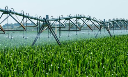 Current status and future challenges of water use in the European Union